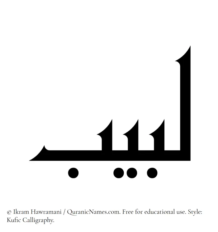 The Muslim name Labeeb written in Kufi/Kufic calligraphic script