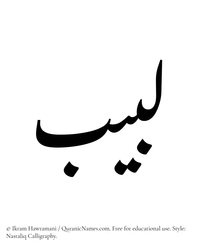 The Muslim name word Labeeb written in Nastaliq calligraphic script