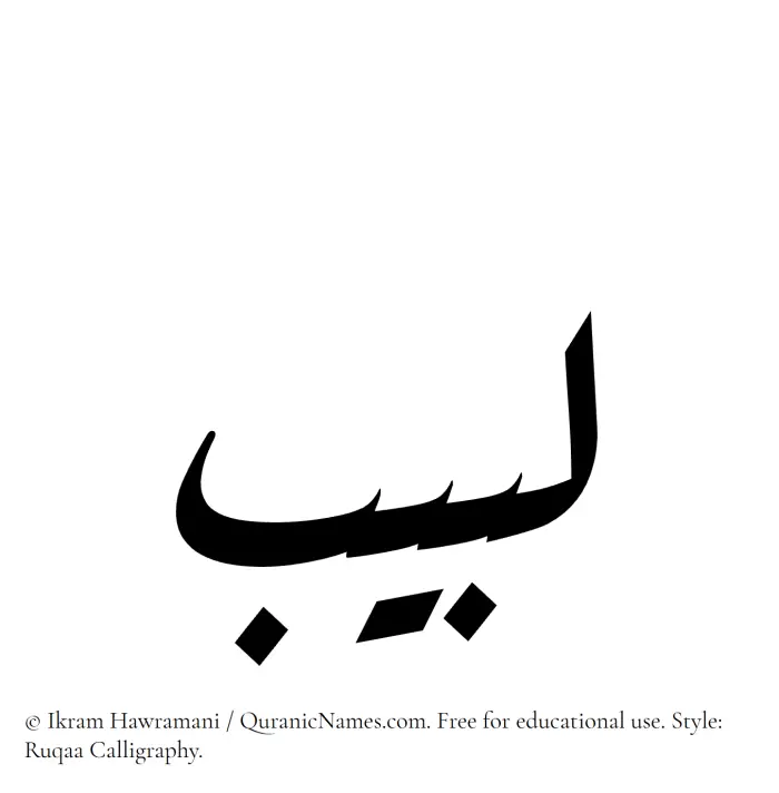 The Muslim name Labeeb written in Ruqaa calligraphic script