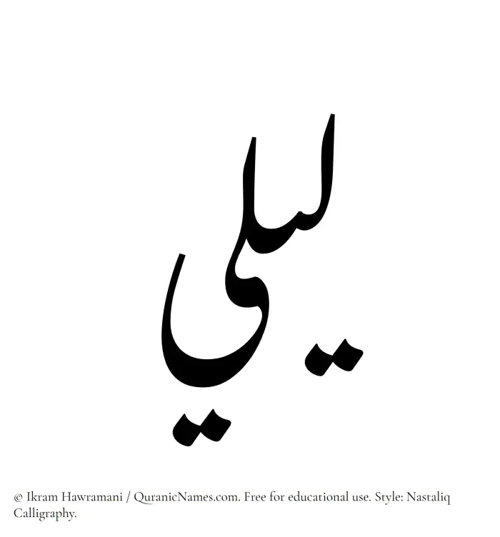 The Muslim name word Laily written in Nastaliq calligraphic script