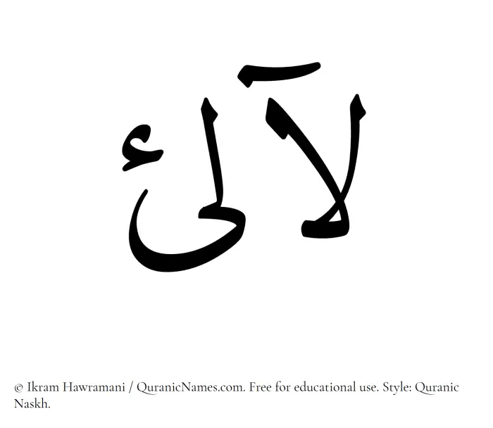 The Muslim name Lalee written in Quranic naskh script