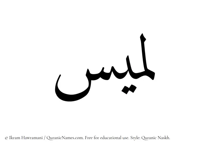 The Muslim name Lamees written in Quranic naskh script
