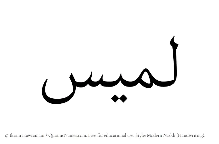 The Muslim name Lamees written in naskh script
