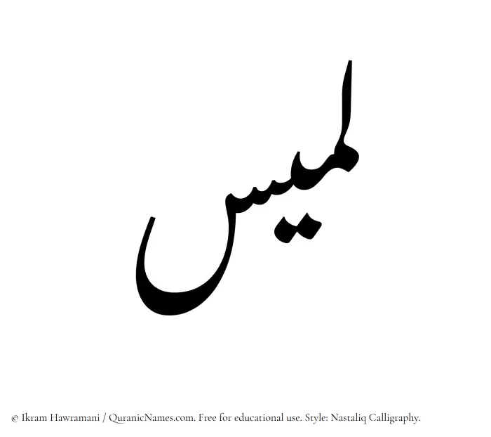 The Muslim name word Lamees written in Nastaliq calligraphic script
