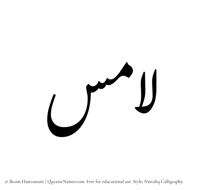 The Muslim name word Lamis written in Nastaliq calligraphic script