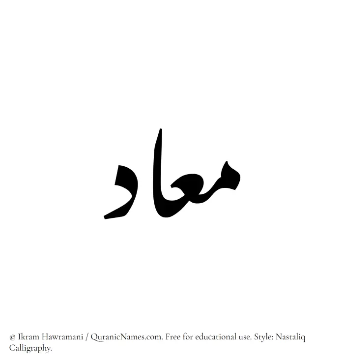 The Muslim name word Maad written in Nastaliq calligraphic script