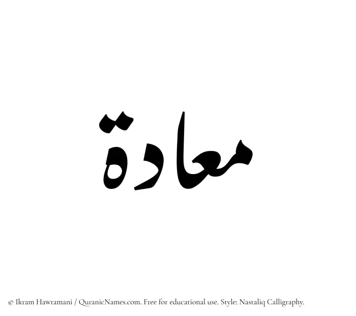 The Muslim name word Maadah written in Nastaliq calligraphic script