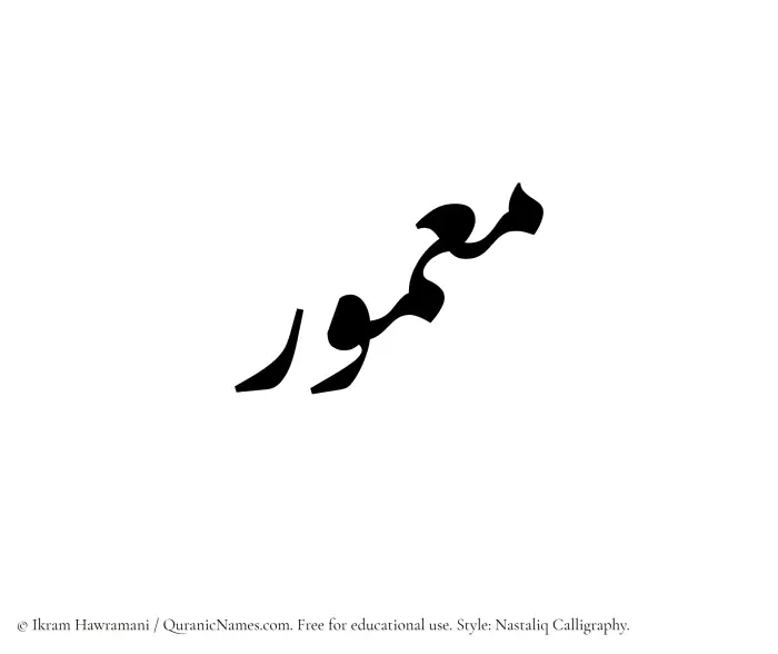 The Muslim name word Maamour written in Nastaliq calligraphic script