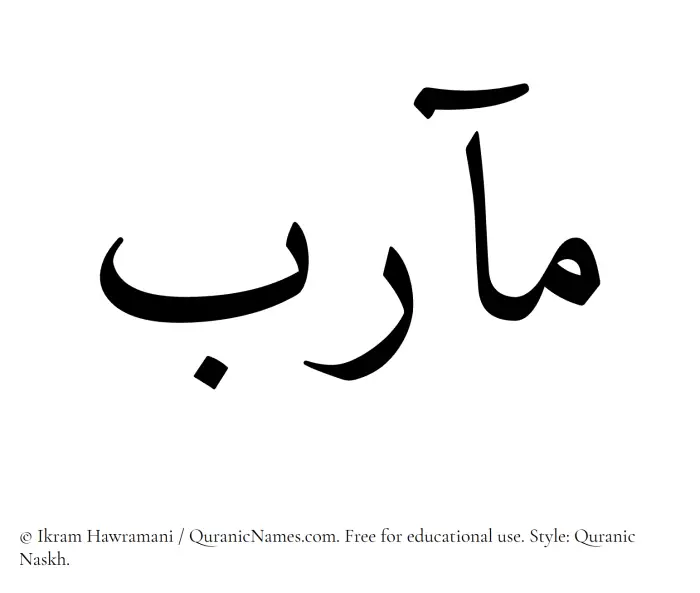 The Muslim name Maarib written in Quranic naskh script