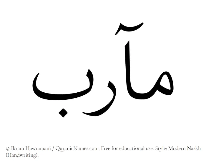 The Muslim name Maarib written in naskh script
