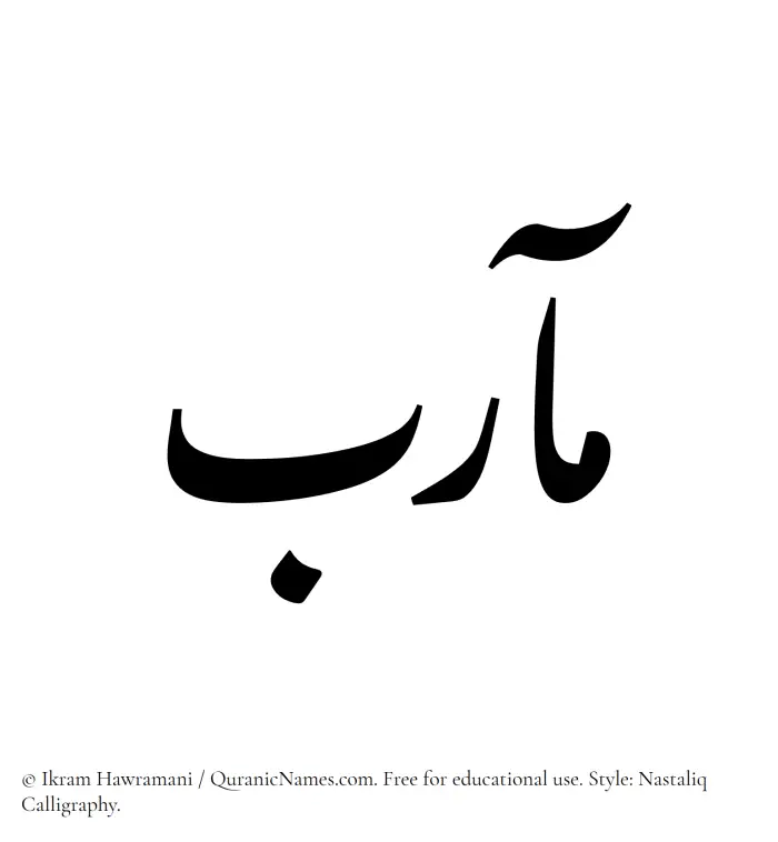 The Muslim name word Maarib written in Nastaliq calligraphic script