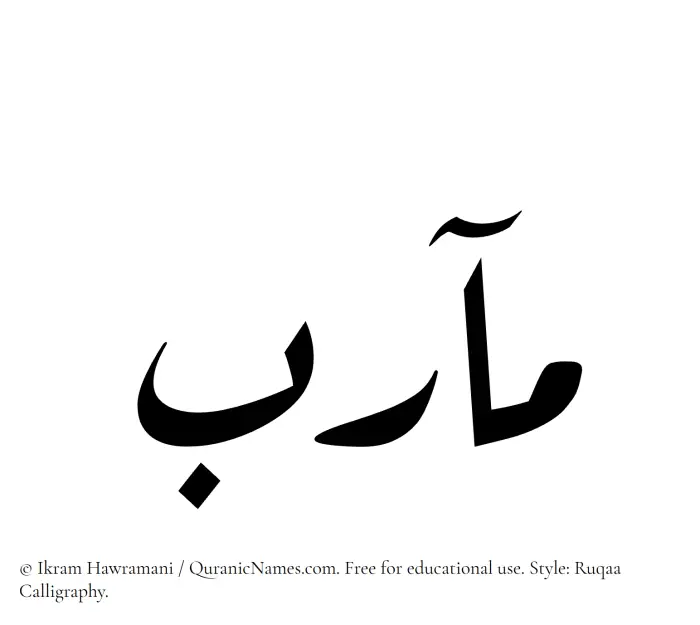 The Muslim name Maarib written in Ruqaa calligraphic script