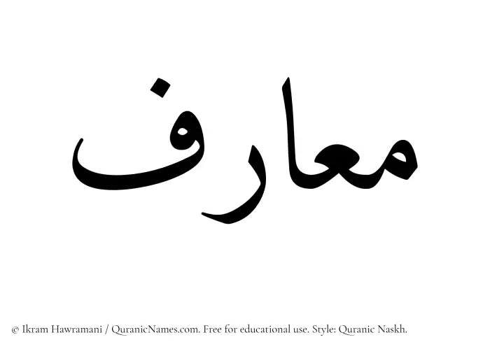 The Muslim name Maarif written in Quranic naskh script