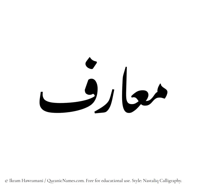 The Muslim name word Maarif written in Nastaliq calligraphic script