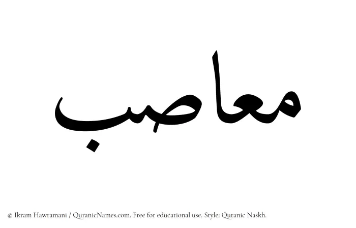 The Muslim name Maasib written in Quranic naskh script