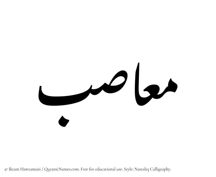 The Muslim name word Maasib written in Nastaliq calligraphic script