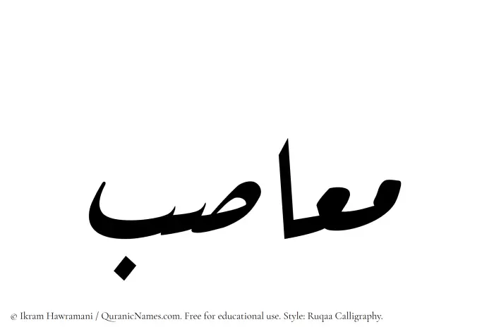 The Muslim name Maasib written in Ruqaa calligraphic script