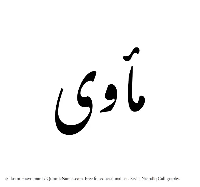 The Muslim name word Maawa written in Nastaliq calligraphic script