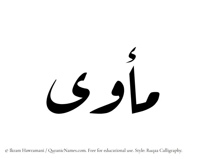 The Muslim name Maawa written in Ruqaa calligraphic script