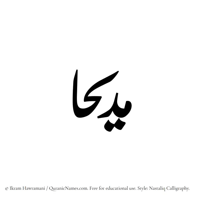 The Muslim name word Madeehaa written in Nastaliq calligraphic script