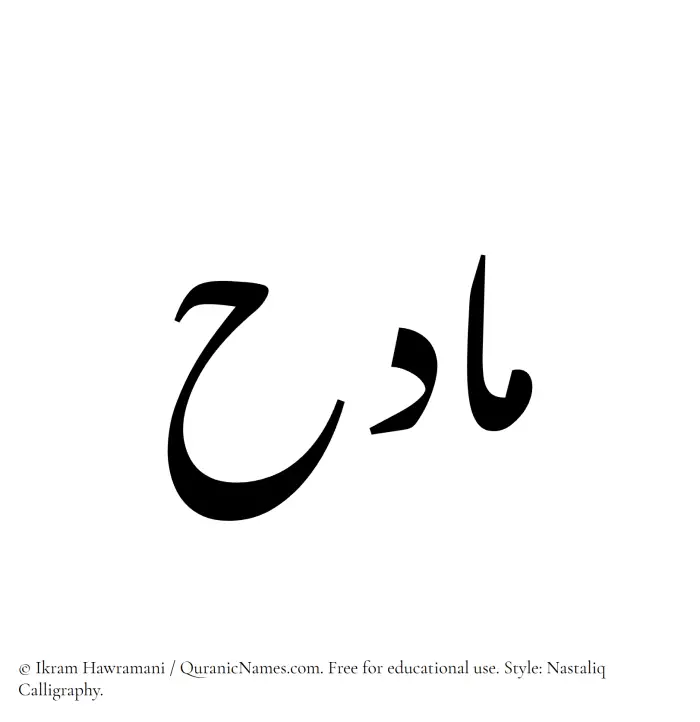 The Muslim name word Madih written in Nastaliq calligraphic script