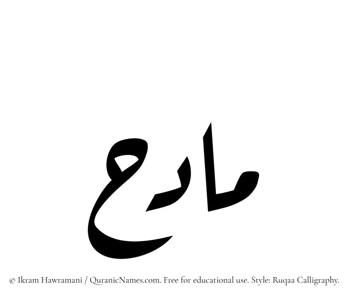 The Muslim name Madih written in Ruqaa calligraphic script