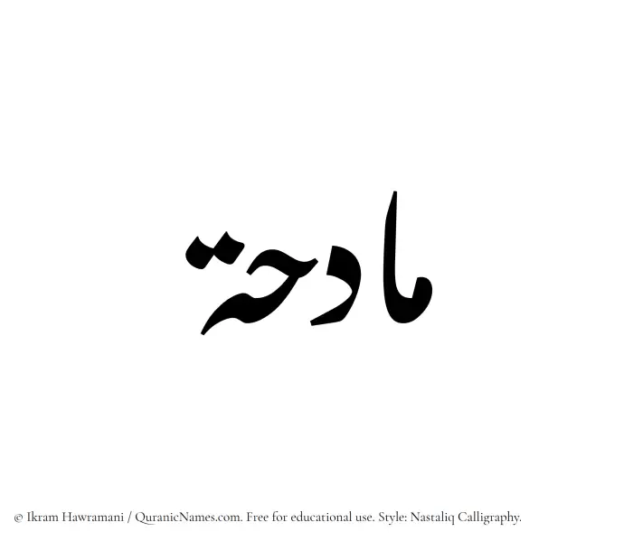 The Muslim name word Madihah written in Nastaliq calligraphic script