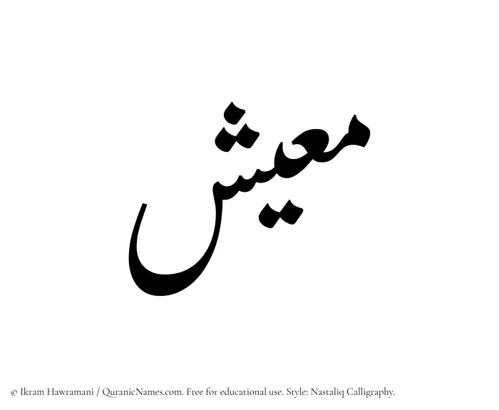 The Muslim name word Maeesh written in Nastaliq calligraphic script