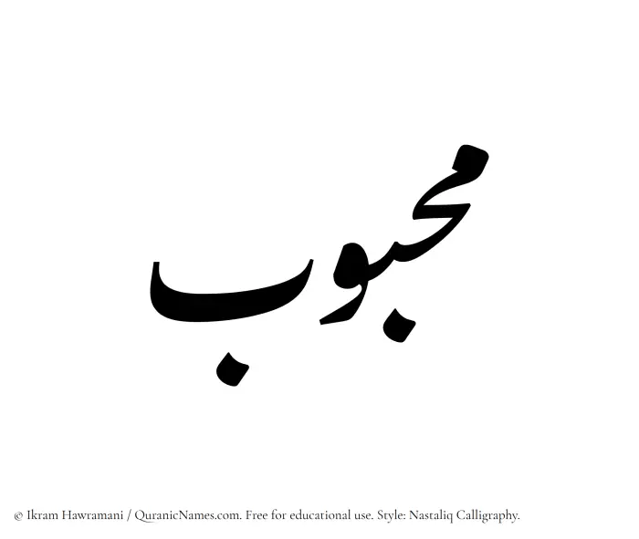 The Muslim name word Mahbub written in Nastaliq calligraphic script