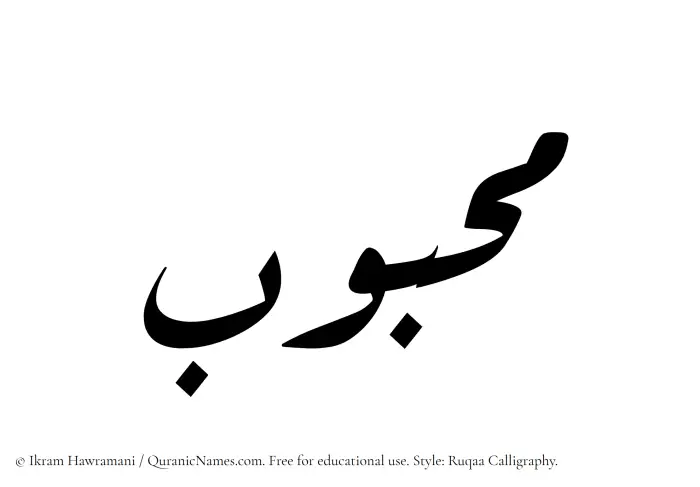 The Muslim name Mahbub written in Ruqaa calligraphic script