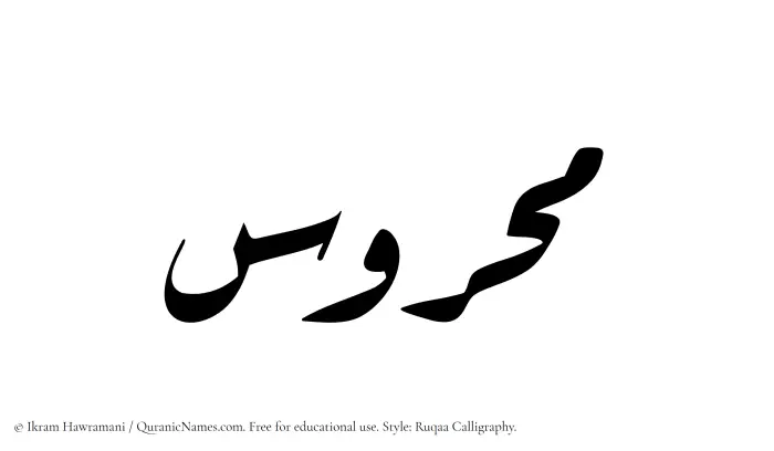 The Muslim name Mahrus written in Ruqaa calligraphic script