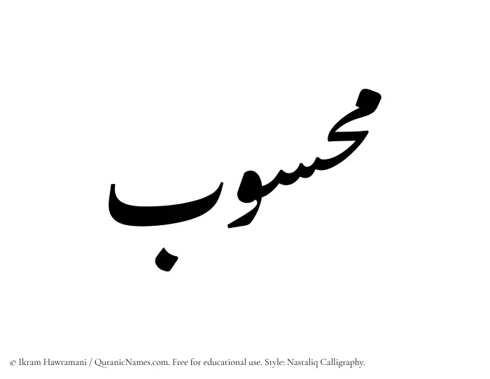 The Muslim name word Mahsub written in Nastaliq calligraphic script