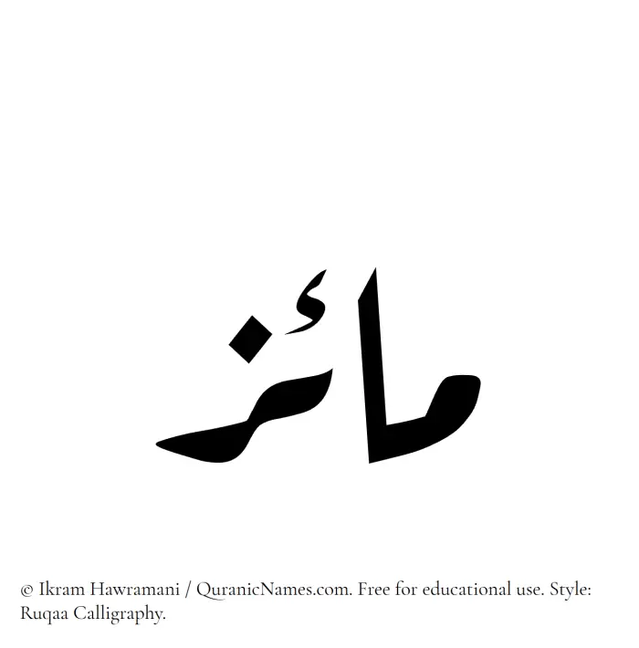 The Muslim name Maiz written in Ruqaa calligraphic script