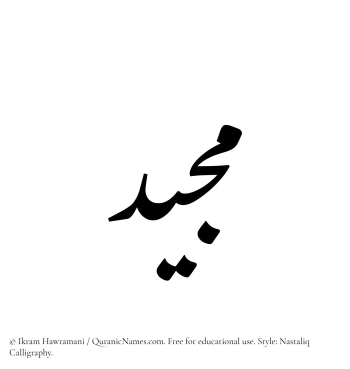The Muslim name word Majeed written in Nastaliq calligraphic script