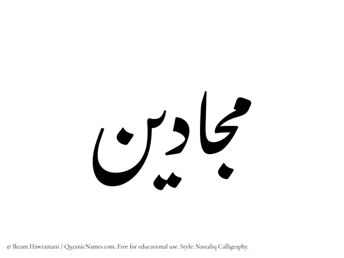 The Muslim name word Majjadin written in Nastaliq calligraphic script