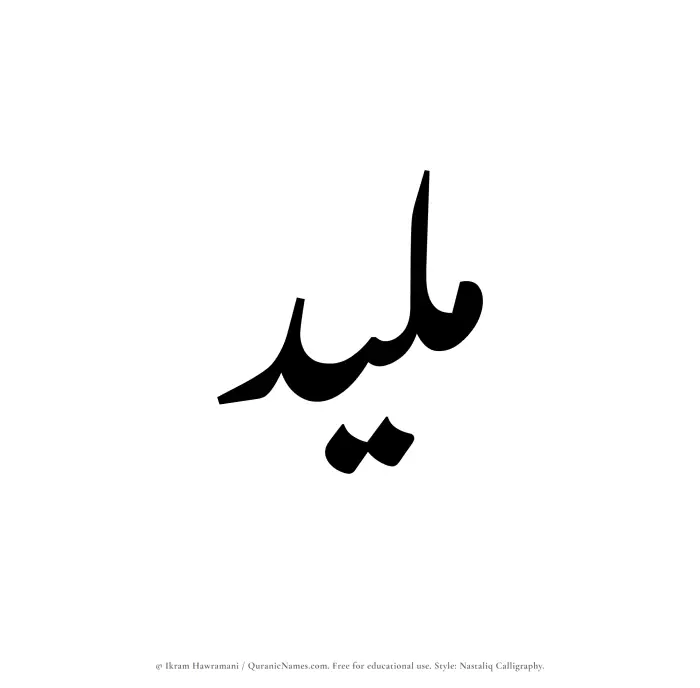 The Muslim name word Maleed written in Nastaliq calligraphic script