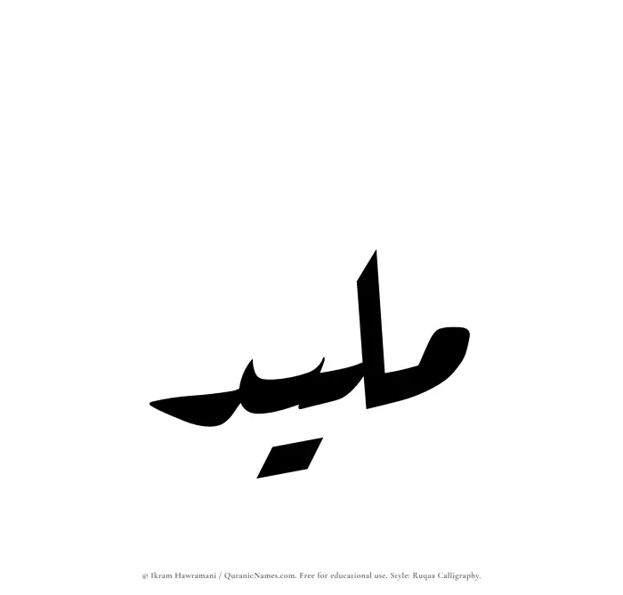 The Muslim name Maleed written in Ruqaa calligraphic script