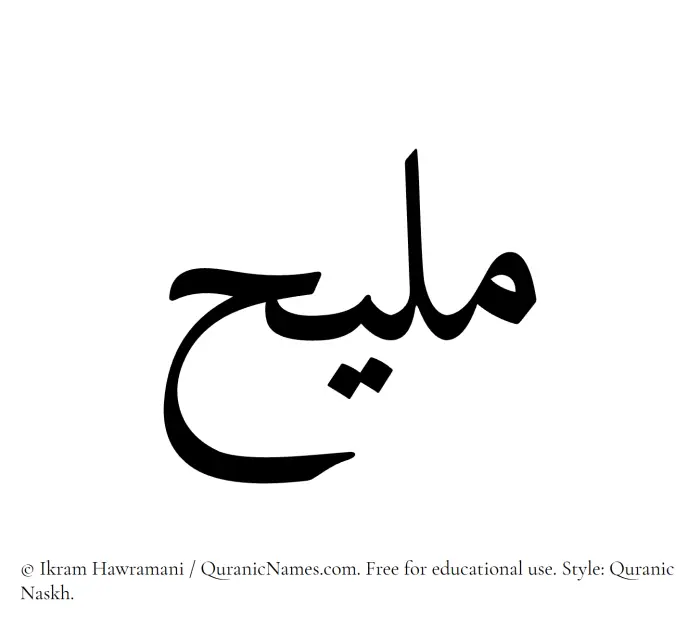 The Muslim name Maleeh written in Quranic naskh script