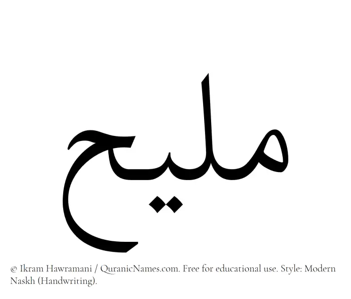 The Muslim name Maleeh written in naskh script
