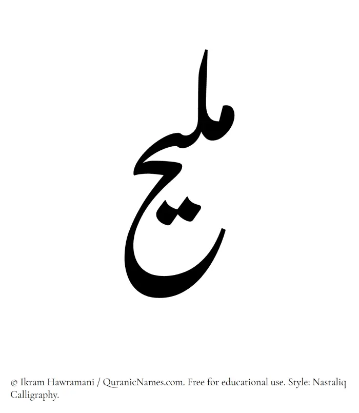 The Muslim name word Maleeh written in Nastaliq calligraphic script
