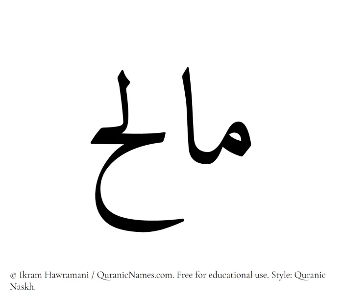 The Muslim name Malih written in Quranic naskh script