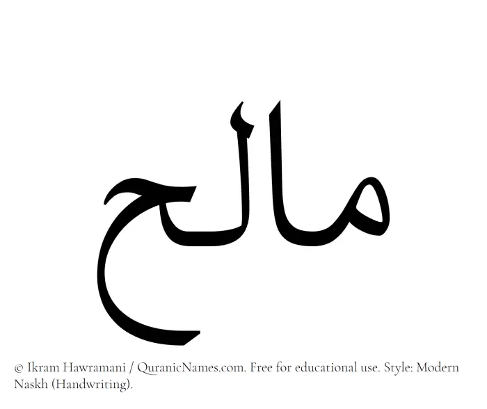 The Muslim name Malih written in naskh script