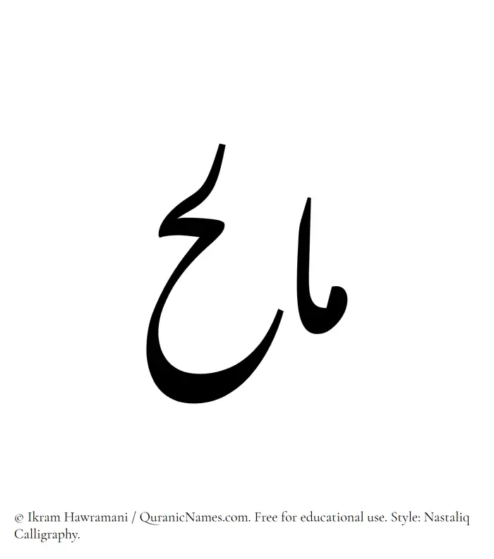 The Muslim name word Malih written in Nastaliq calligraphic script