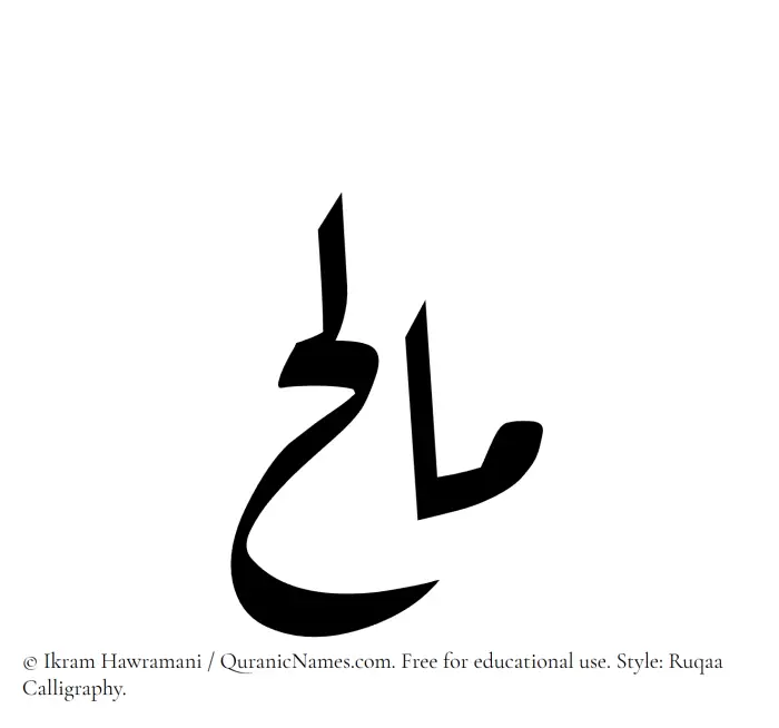 The Muslim name Malih written in Ruqaa calligraphic script