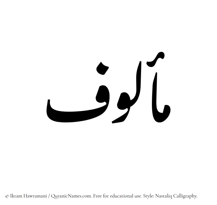 The Muslim name word Malouf written in Nastaliq calligraphic script