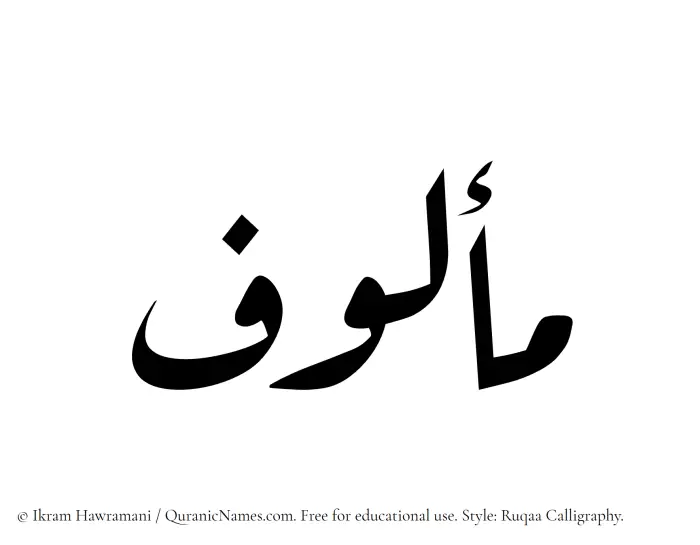 The Muslim name Malouf written in Ruqaa calligraphic script