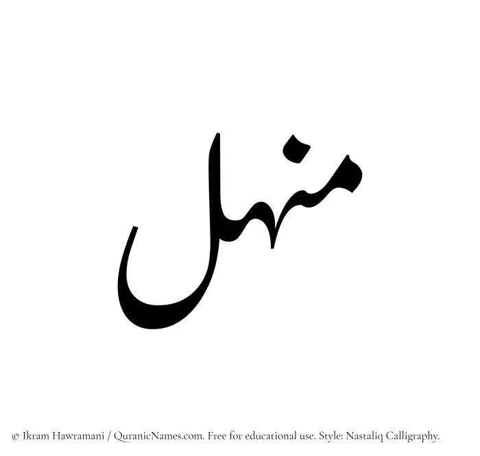 The Muslim name word Manhal written in Nastaliq calligraphic script