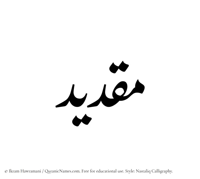 The Muslim name word Maqdeed written in Nastaliq calligraphic script