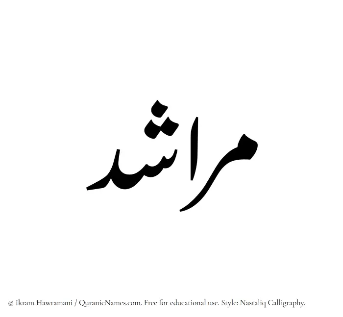 The Muslim name word Marashid written in Nastaliq calligraphic script