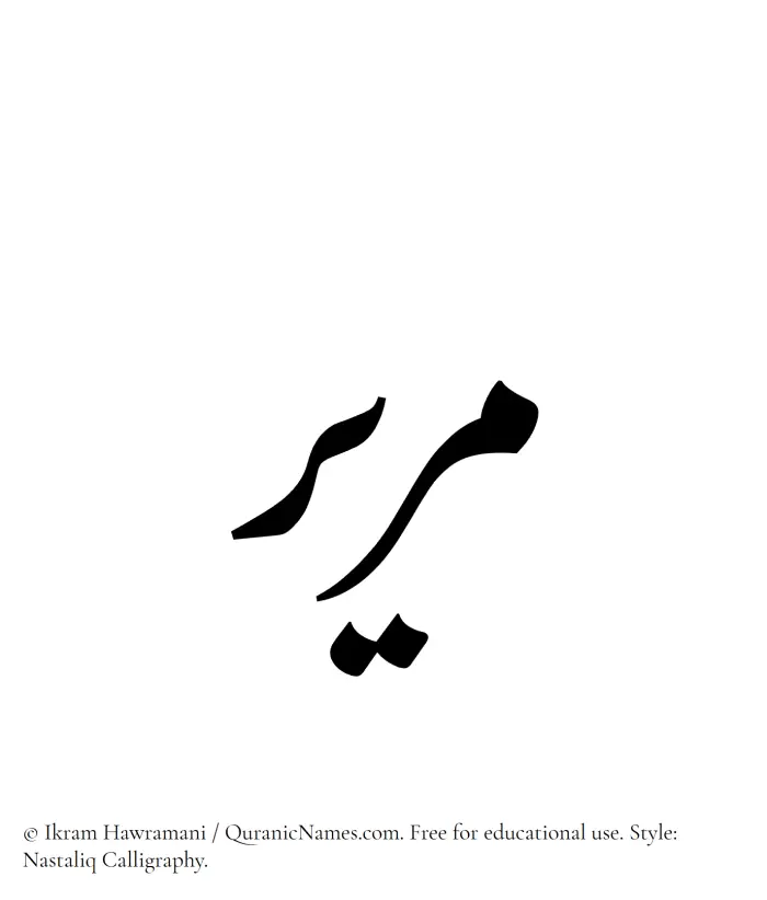 The Muslim name word Mareer written in Nastaliq calligraphic script